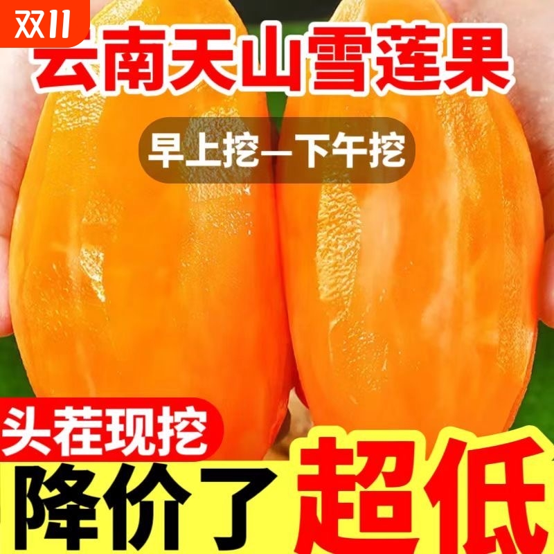 【精选黄心】云南高山天山雪莲果新鲜水果当季孕妇云南红心雪连果