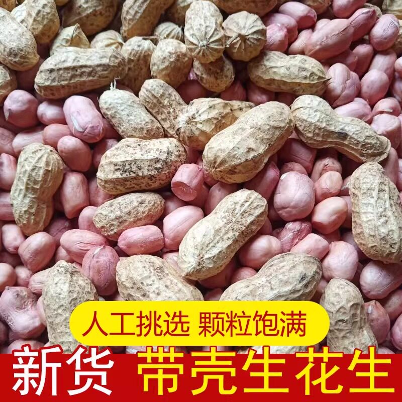 带壳生花生小白沙原味新鲜农家自种晒干粉皮花生仁打豆浆榨油吃