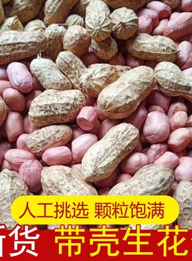 带壳生花生小白沙原味新鲜农家自种晒干粉皮花生仁吃新花生新货