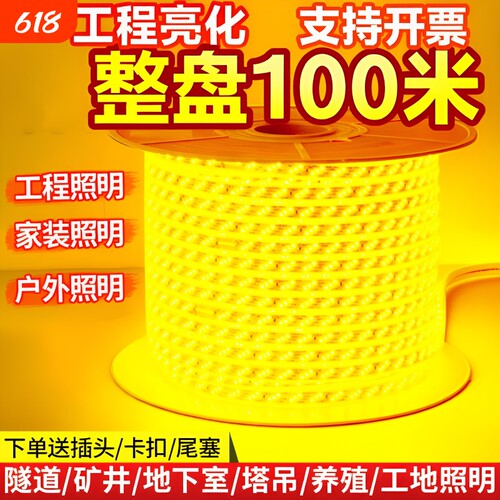 整卷100米超亮LED灯带家装户外工程亮化吊顶户外防雨暖光白光装饰