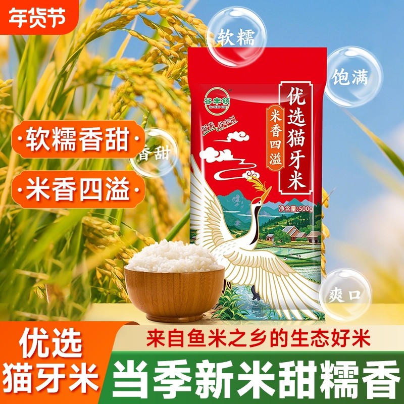 猫牙米新米大米超长粒香米软糯猫牙丝苗米原生态农家米煲仔饭晚稻