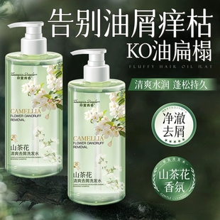 洗护套装 补水洗头膏露男士 保湿 山茶花去屑洗发水控油蓬松官方正品