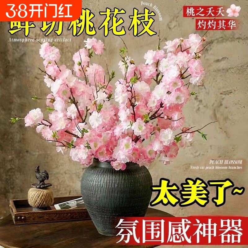 遇水开花鲜枝水培桃花枝带花苞室内耐寒花卉绿植阳台客厅鲜切
