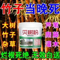 爛根竹子除專用竹根連根除強(qiáng)力去竹粉大樹雜草腐蝕專用劑S灌木