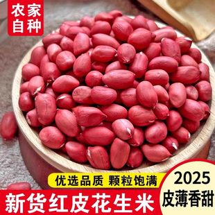 四粒红去壳红皮花生米2025新货新鲜花生米红衣农家自种生花生米