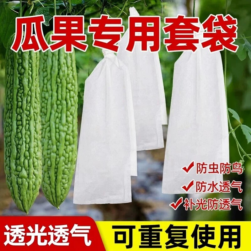 长丝瓜网眼套袋黄瓜青瓜苦瓜套袋专用袋防虫袋保护套瓜果水果瓜果