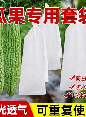 长丝瓜网眼套袋防虫袋
