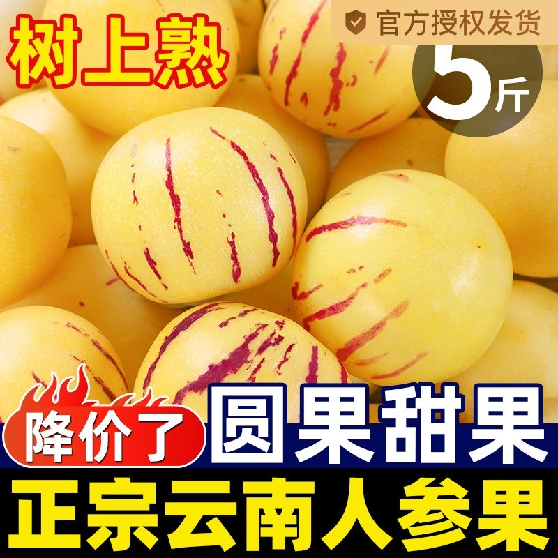 3�� Բ�� ���ػݡ�С������ζŨ���� �������ʡ�ʯ���˲ι������֭��