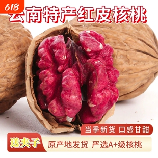 云南红皮核桃红衣核桃旗舰店红色核桃2026新货红核桃零食孕妇即食