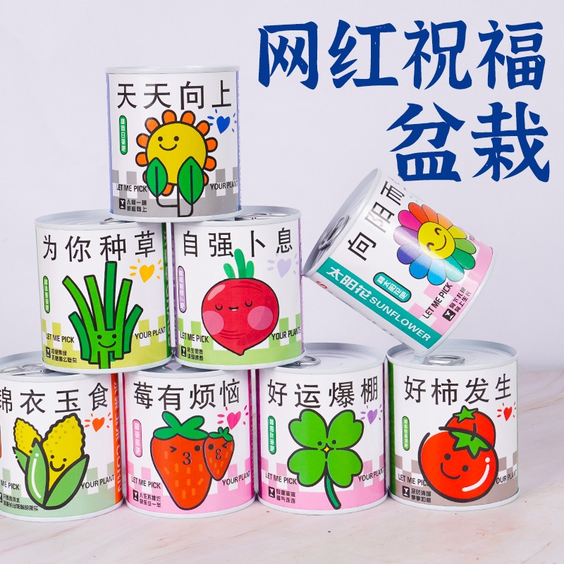 幼儿园小礼品学生diy种植儿童小盆栽地推礼物绿植罐头盲盒创意