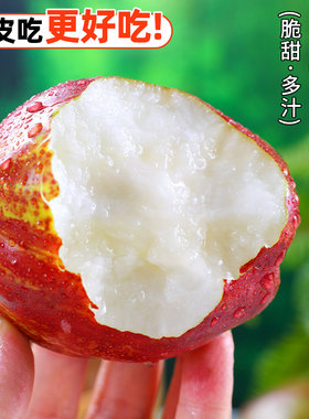 陕西新鲜彩虹梨水果当季梨子包邮