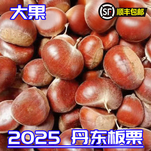 顺丰包邮正宗丹东板栗当季新货新鲜板栗栗子高山农家毛栗子