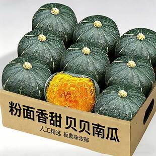 正宗贝贝南瓜板栗味小南瓜栗面粉糯香甜新鲜宝宝辅食蔬菜南瓜粉