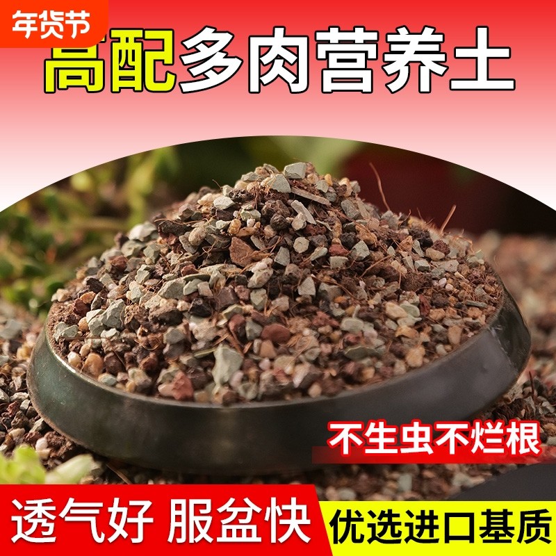 颗粒土多肉营养土专用土壤种植土泥炭进口栽培铺面石纯颗粒肥花土