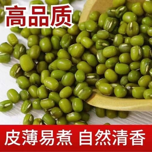 东北绿豆新货大500g新鲜农家豆绿煮绿豆汤发豆芽精选御品