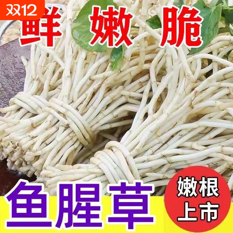 新鲜嫩根折耳根现挖原味节节根