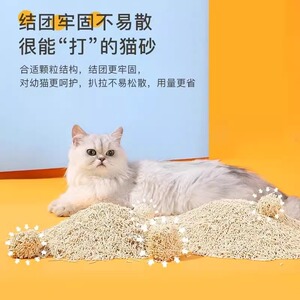 豆腐猫砂除臭无尘绿茶豆腐砂猫咪用品大袋10公斤砂桶装20斤包邮