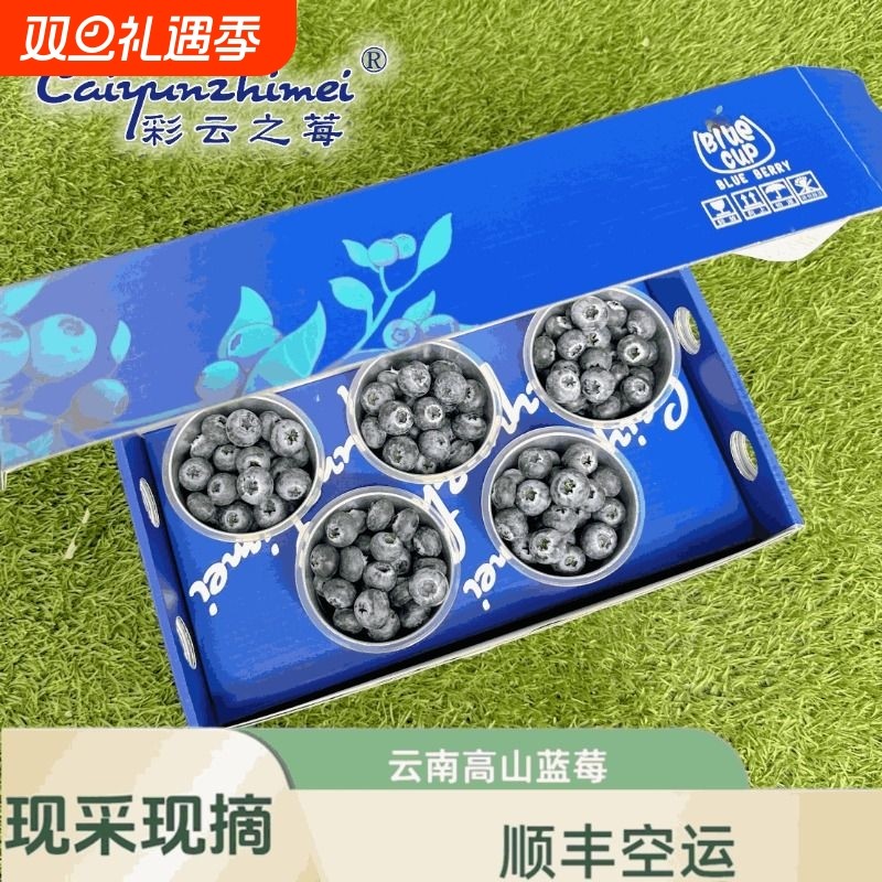 顺丰空运云南花香高山蓝莓大蓝杯礼盒装新鲜果应当季水果脆甜大果