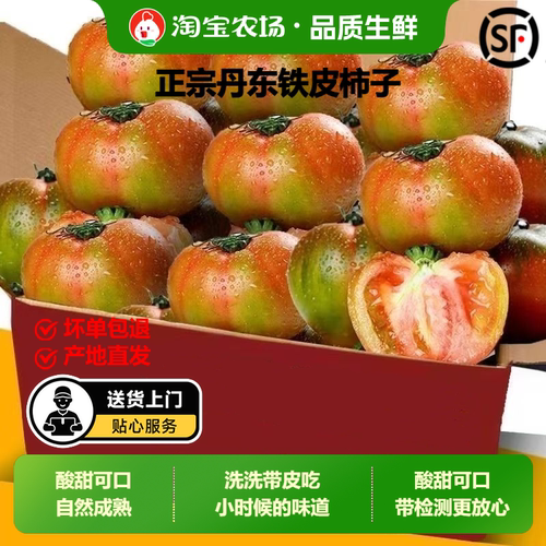 丹东铁皮柿子老品种西红柿新鲜自然熟水果番茄生吃起沙瓤顺丰包邮