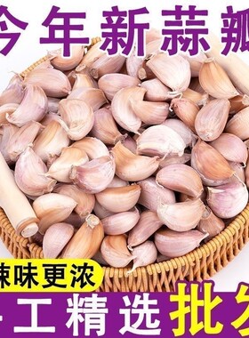新鲜蒜瓣手剥蒜瓣蒜种子今年新蒜干蒜瓣可吃可种带皮蒜瓣旗舰店