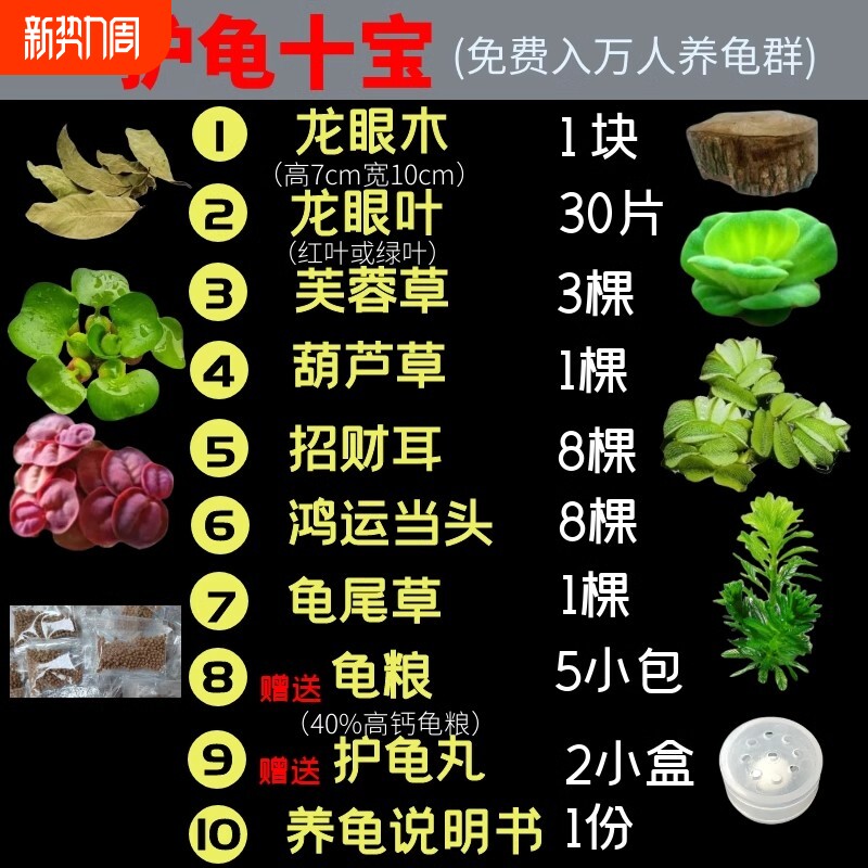 养龟专用绿植水草植物摆件晒台乌龟躲避屋龙眼木龟缸造景客厅净水