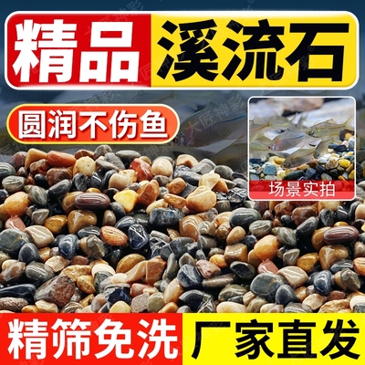 原生溪流石造景鱼缸底砂装饰五彩石大石头头纯天然铺底免洗鹅卵石