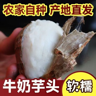 云南现挖高山牛奶芋头新鲜芋艿芋仔软糯小毛芋小芋头蔬菜山药粗粮