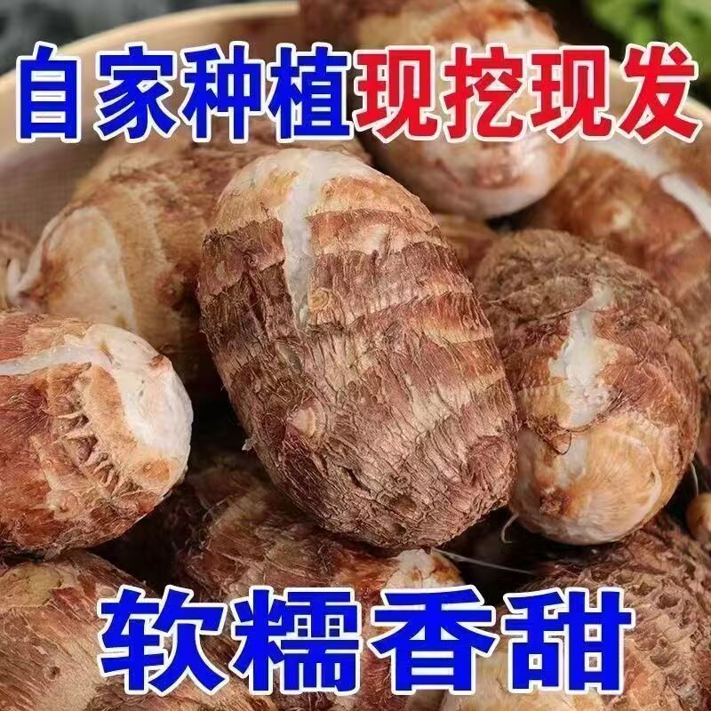 山东正宗沂蒙山牛奶小芋头小香芋头山东毛芋艿当季蔬菜软糯香甜