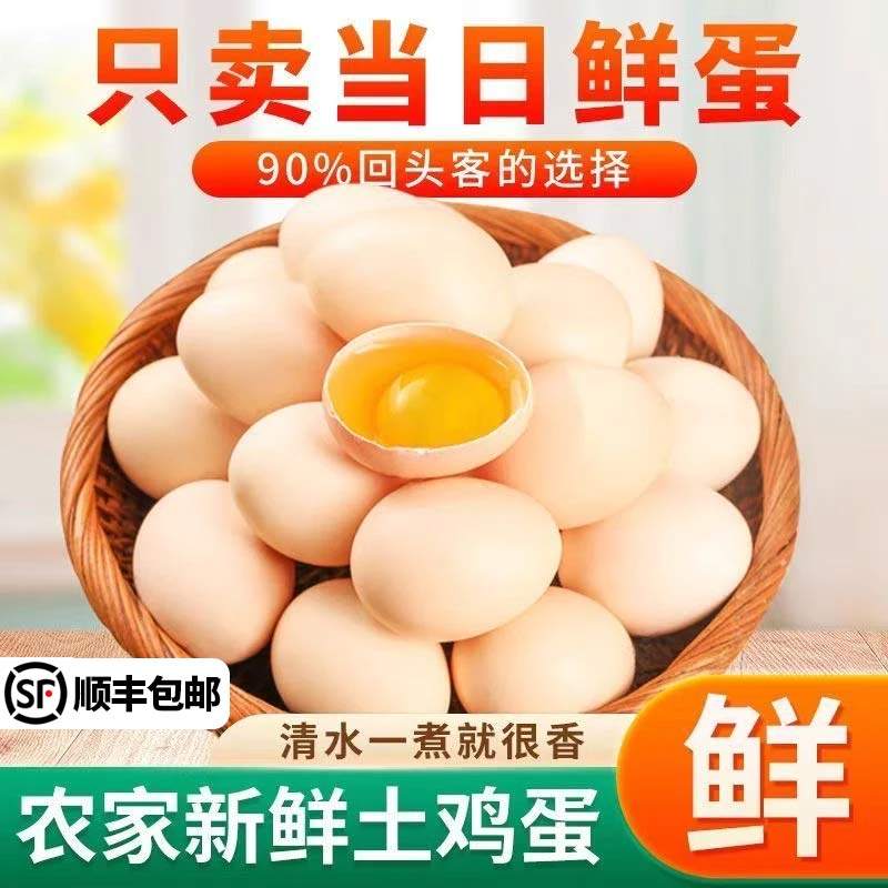 顺丰包邮50枚正宗山林散养鲜鸡蛋土鸡蛋笨鸡蛋柴鸡蛋月子蛋,水产肉类/新鲜蔬果/熟食,鸡蛋,淘宝优惠券,粉丝福利购,淘宝优惠卷