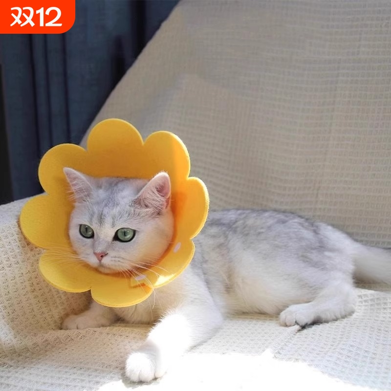 伊丽莎白圈猫咪绝育项圈防舔围脖