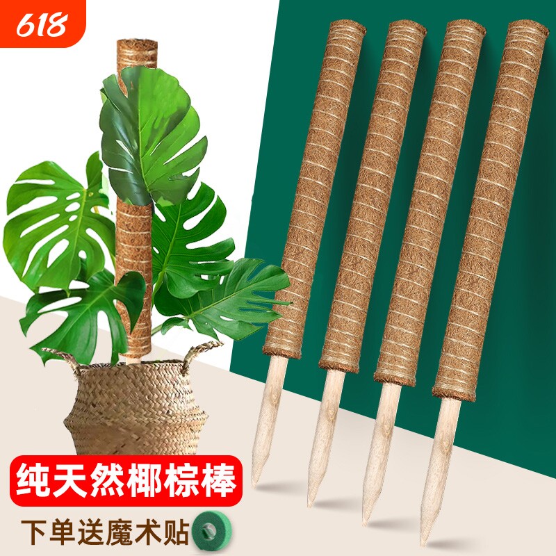 龟背竹支撑杆椰棕棒植物攀爬藤棕榈柱绿萝固定防倒伏花架椰丝园艺