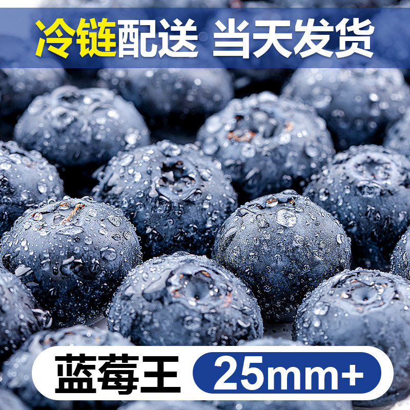 山东花香蓝莓新鲜水果高山鲜果现摘L25当季特大果整箱配送