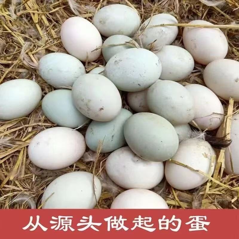 正宗农家散养绿壳土鸭蛋家用农家鸭蛋散养新鲜五谷鸭蛋多规格,水产肉类/新鲜蔬果/熟食,鸭蛋,淘宝优惠券,粉丝福利购,淘宝优惠卷
