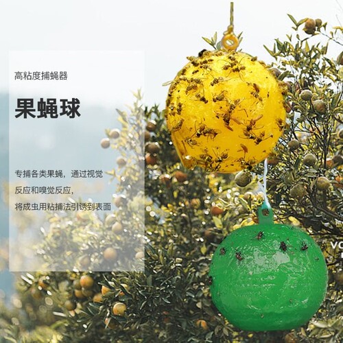 强力诱蝇神器粘蝇球|万人加购