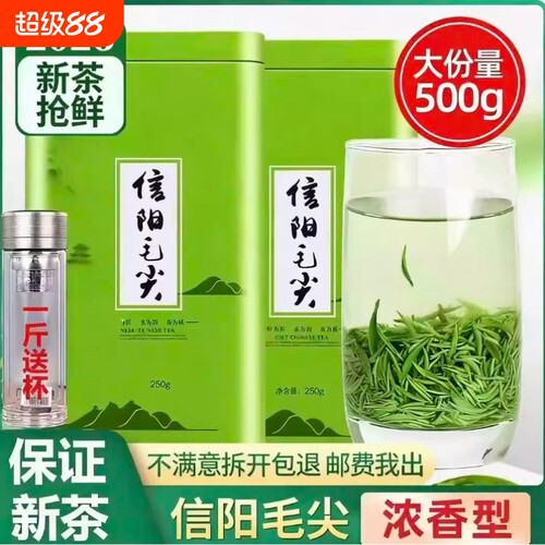 茶叶2026新茶信阳毛尖雨前嫩芽高山绿茶浓香型自己喝春茶散装500g
