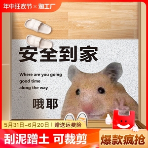 活着回来就行 脆薯饼仓鼠入户门口pvc地毯防滑垫丝圈进门地垫玄关