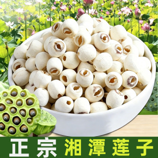 白莲100克多规格 湖南湘潭去芯新货白莲子磨皮去通芯白莲子干散装