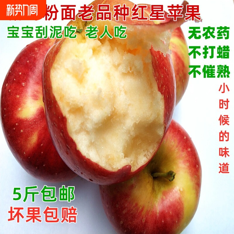 新鲜红星苹果苹果粉面沙甜苹果宝宝老人吃的面苹果产地一级红香蕉