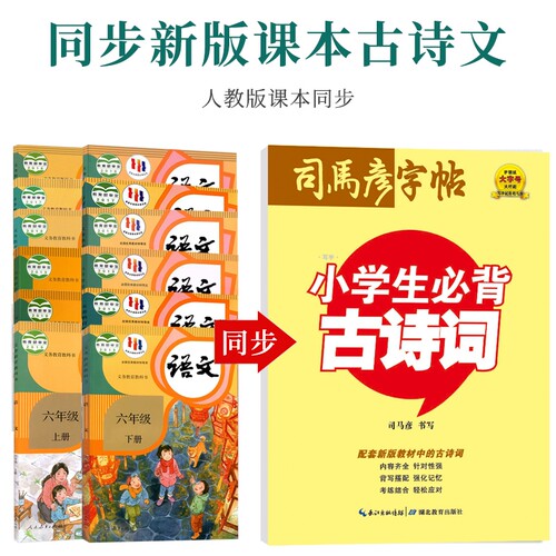 字帖楷书小学生必背古诗词解释硬笔字帖含临摹纸小学生钢笔/中性笔/正楷高中古诗文行书入门汉字笔法同步练习课本书写训练笔画