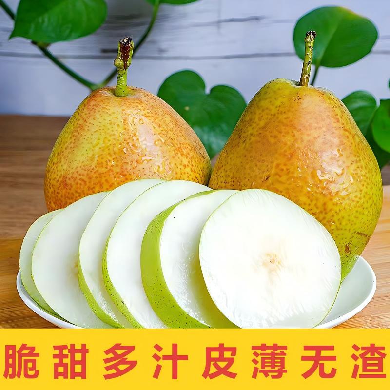 红香酥梨脆甜多汁孕妇水果