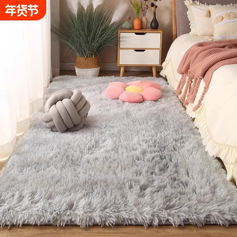 加厚柔软地毯卧室网红少女耐脏床边毯窗阳台客厅房间满铺丝毛地毯