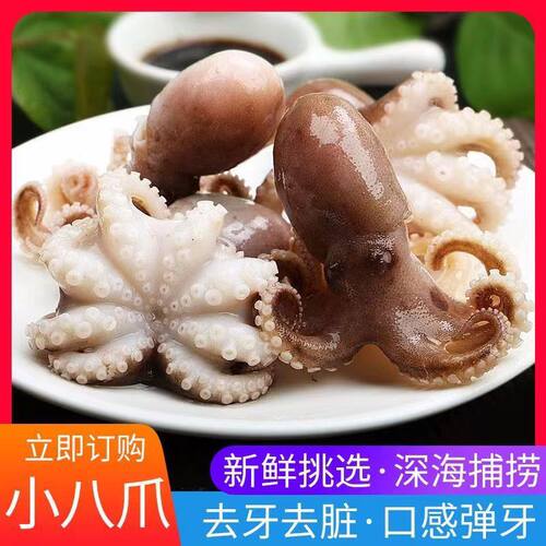 八爪鱼免洗短腿新鲜速冻小章鱼火锅白灼捞汁必备口感Q弹迷你商用