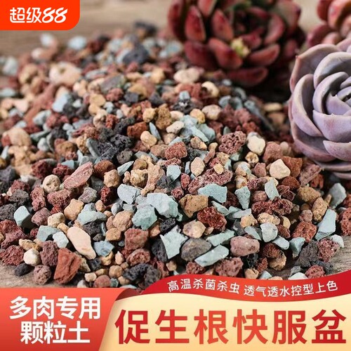 多肉专用颗粒土纯颗粒土多肉土营养土彩虹石养花小石子通用型肉肉