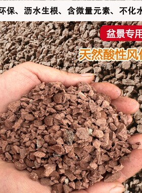 天然风化石风化土颗粒盆景专用根酸性红土颗粒金弹子土黄杨土种植
