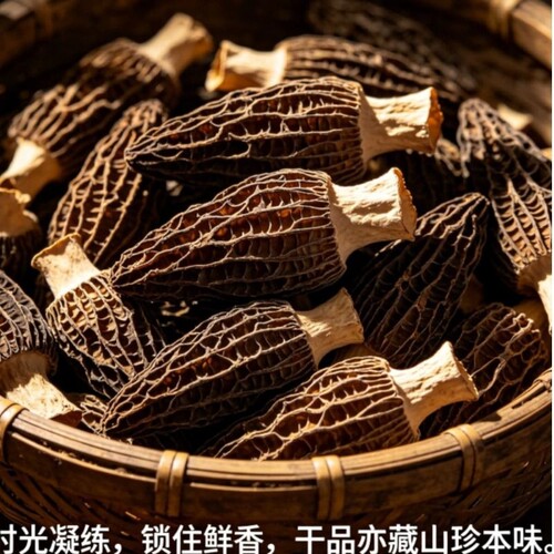 云南羊肚菌干货野生新鲜野生菌菇1包/3包/5包单包16-17根多规格