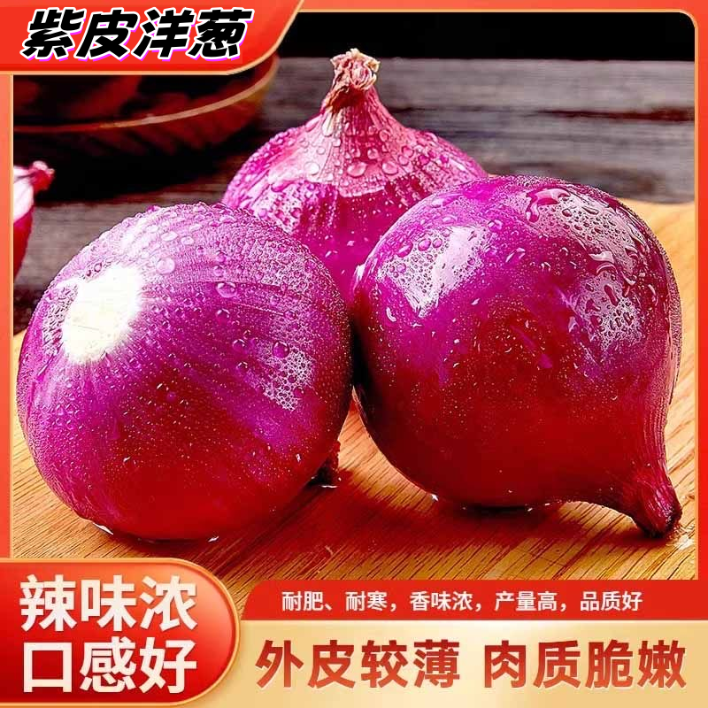 正宗当季洋葱紫皮圆葱新鲜产地紫红皮水果现挖葱头蔬菜农家现挖,水产肉类/新鲜蔬果/熟食,洋葱/红葱头,淘宝优惠券,粉丝福利购,淘宝优惠卷