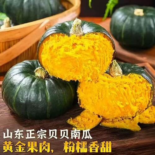山东贝贝南瓜新鲜应当季正宗板栗味南瓜孕妇宝宝辅食有营养