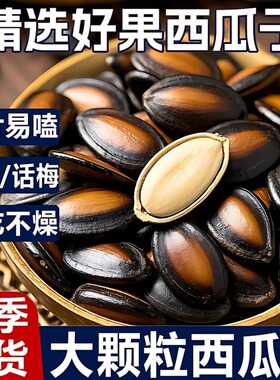 西瓜子话梅味大颗粒炒制独立小包装香醇美味回味追剧休闲炒货零食