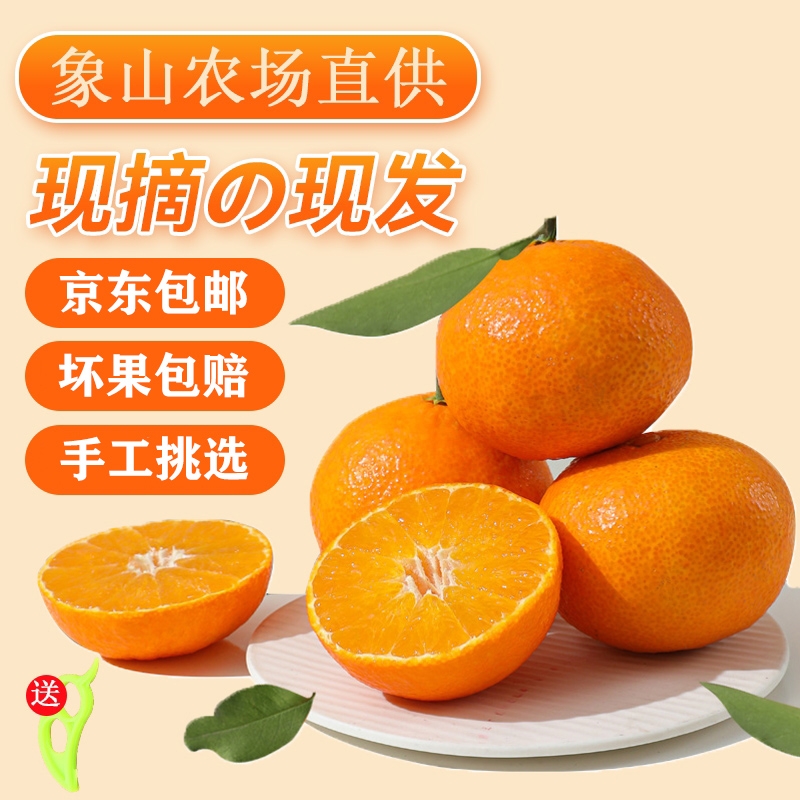 正宗象山红美人柑橘当季现摘新鲜水果桔子爱媛28号橙子礼盒装农场