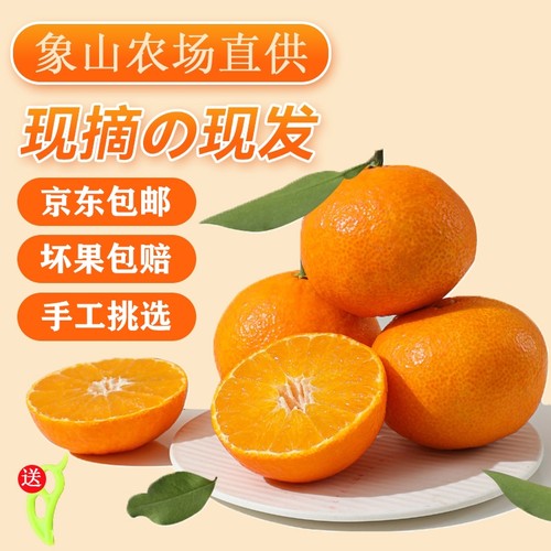 正宗象山红美人柑橘当季现摘新鲜水果桔子爱媛28号橙子礼盒装农场